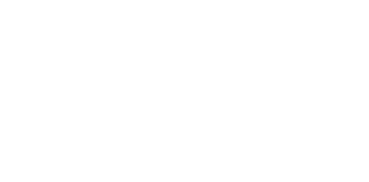 Bosporus Capital